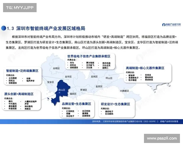 欧帕华为数字化转型战略探析及其在全球市场竞争中的影响